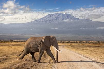 AKCE! Letenky na Kilimanjaro